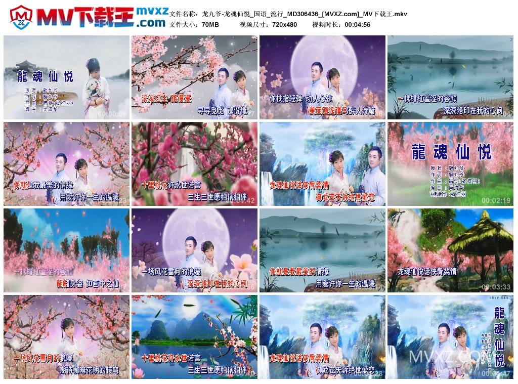 龙九爷-龙魂仙悦_国语_流行_MD306436